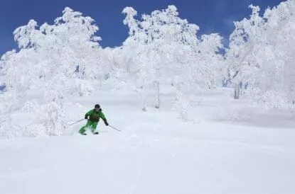 20-nozawa-onsen-Mobile