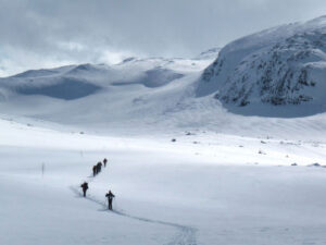 Cross-country skiing